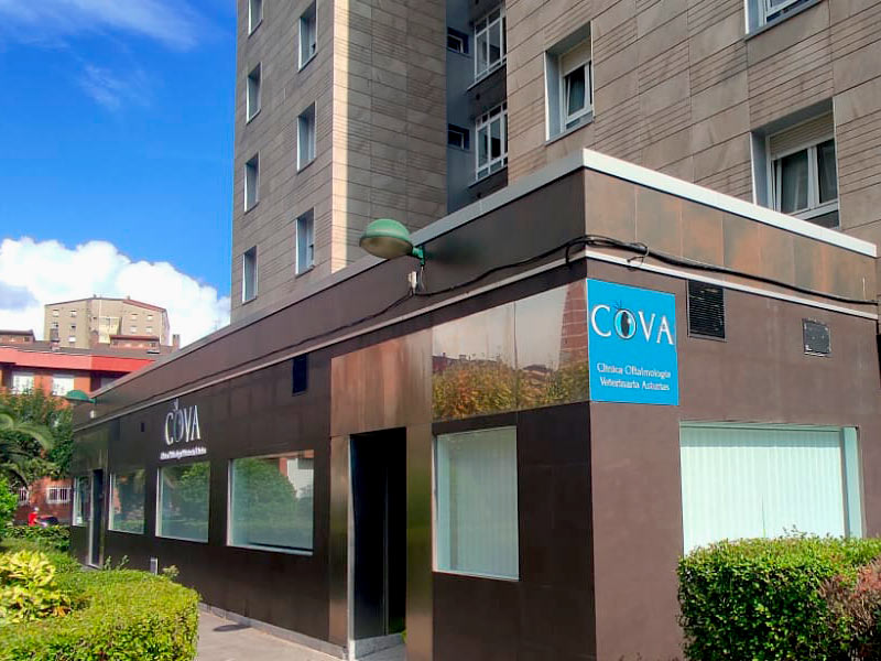 Fachada de las instalaciones de la Clínica Oftalmológica Veterinaria COVA en Gijón, Asturias